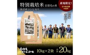 【通年受付】≪令和8年産≫ 農家直送！魚沼産コシヒカリ特別栽培「白羽毛の米」精米(10kg×2袋) 20kg お米 白米