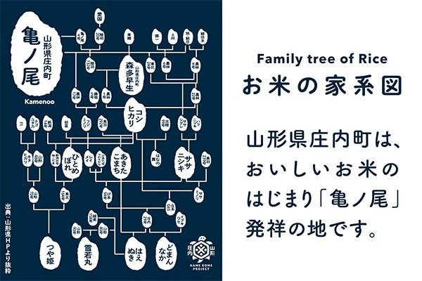 山形県産 ちょいまんま はえぬき無洗米 2合（300g）×70袋セット ブランド米 無洗米 白米 使い切り 手軽