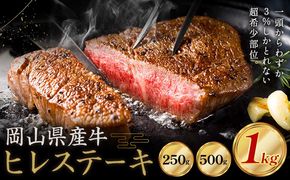 牛肉 国産 ヒレ ステーキ 岡山県産牛 選べる 250g 500g 1kg お試し 大容量《60日以内に出荷予定(土日祝除く)》 岡山県 笠岡市 肉 ステーキ 高級部位 希少部位 グルメ お取り寄せグルメ---kasaoka_zsy_290_25---