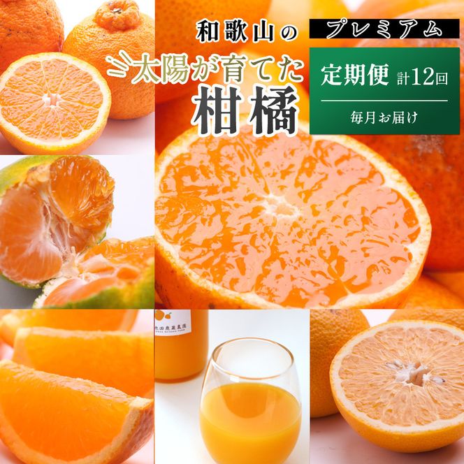 ya̎R쒬zI kSijS12mIKE285n 303446_BB90194