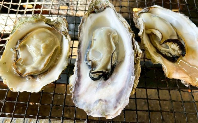 糸島カキのしぐれ煮 3個セット 糸島市 / カキ小屋 住吉丸[ACJ015]
