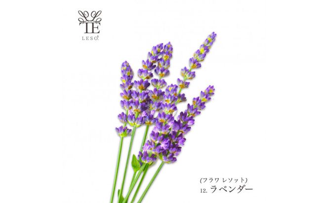 本物の花の香り リード・ディフューザー【ラベンダー】 【 リード ディフューザー 花 香り 仙台市 アロマ インテリア フレグランス デザイン 室内 癒し 自然 空間 プレゼント ギフト エッセンシャルオイル リラックス 】 041009_HW001VC09