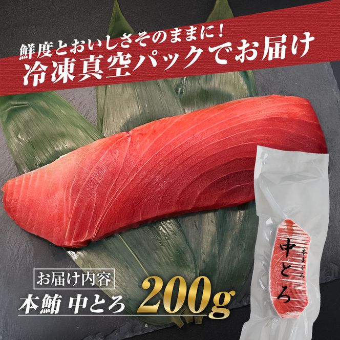 本マグロ 本鮪 中トロ200g トロ マグロ まぐろ 本まぐろ 刺身 刺し身 魚 海鮮 冷凍 美味しい おいしい 故郷納税 ふるさとのうぜい 返礼品 高知県 高知【株式会社大熊】 [BQAA036]