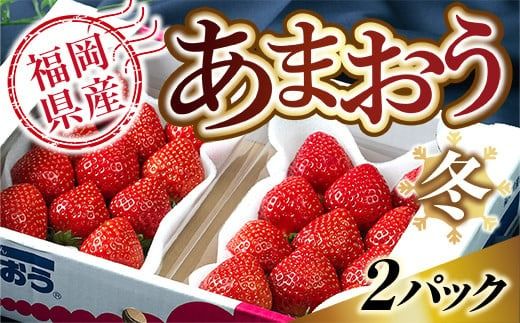 [期間限定発送] いちご あまおう 福岡産あまおう 冬 2パック [南国フルーツ 福岡県 宇美町 um40azo970000] イチゴ 苺 フルーツ 果実 甘い 小分け