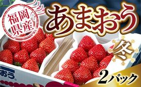 【期間限定発送】 いちご あまおう 福岡産あまおう 冬 2パック [南国フルーツ 福岡県 宇美町 um40azo970000] イチゴ 苺 フルーツ 果実 甘い 小分け