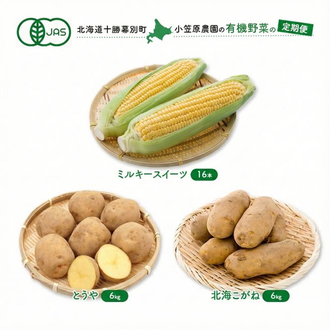小笠原農園の有機野菜 定期便 夏「とうもろこし」ミルキースイーツ16本・秋「じゃがいも2種」とうや6kg・北海こがね6kg《2027年8月出荷開始》北海道 十勝 幕別【 スイートコーン じゃがいも 芋 セット 野菜 】