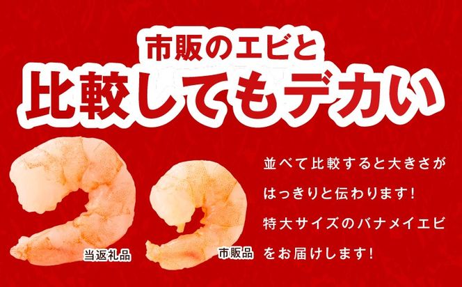 G5436 むきえび 定期便 1.7kg×12回 特大5Lサイズ【下処理不要 小分け 850g×2P 訳あり サイズ不揃い バナメイエビ バラ凍結】