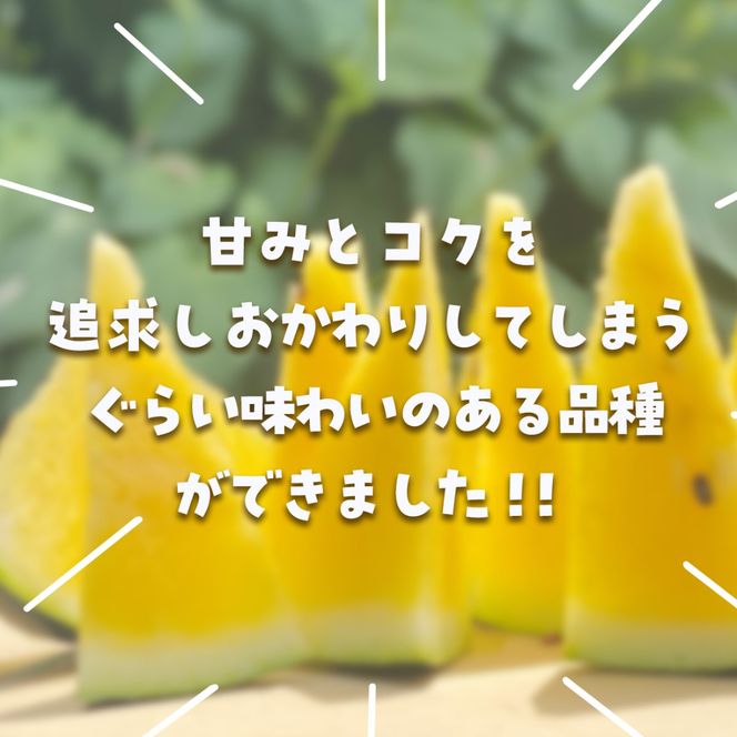 【先行予約・2027年6月下旬頃より発送】サンブラックスイカ SMAF005