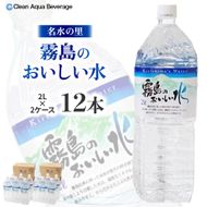 【ミネラルたっぷり天然水】細野の天然水 2L×6本 2箱（国産 ナチュラルウォーター ミネラルウォーター ラベルレス 天然水 水 555ml 中硬水 シリカ 美容 人気 ペットボトル 霧島 宮崎）