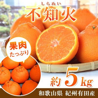 G7356_【2027年先行予約】不知火 5kg デコポン 柑橘の王様 甘い プリプリ ジューシー 濃厚 フルーツ 果実 果物 柑橘 紀州有田産 国産 食品 食べ物 お取り寄せ 魚鶴商店 和歌山県 湯浅町 送料無料