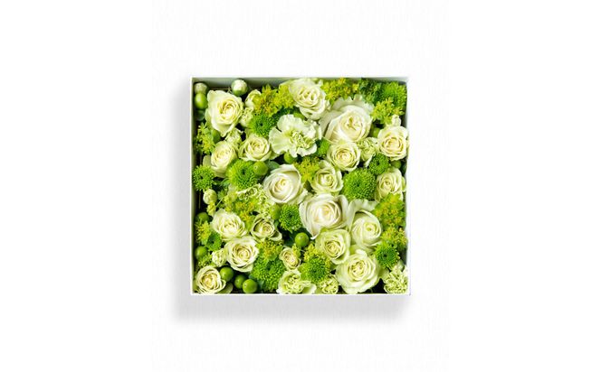 【お花の定期便】「季節毎」に届く、旬のアレンジメント Mサイズ（4回お届け） 142069_BN045