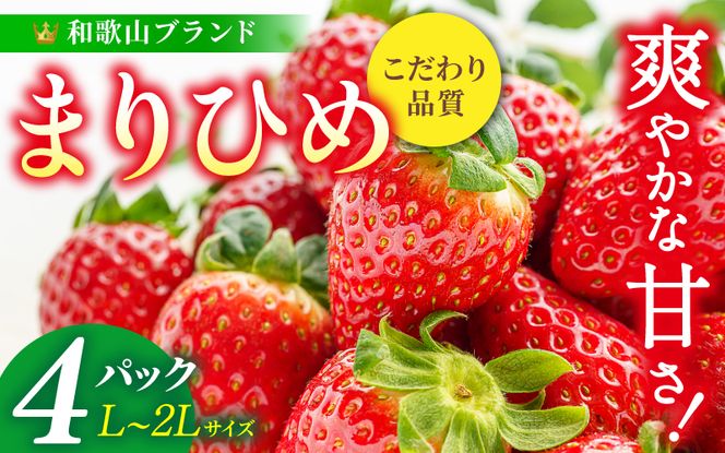 【先行予約】まりひめ いちご 12粒～15粒入り×4パック（1kg）2027年1月中旬頃～2027年3月下旬頃に順次発送予定（お届け日指定不可）/ いちご 苺 まりひめ 和歌山 フルーツ 果物 くだもの【kgr008B】