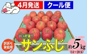 【クール便】4月発送 白熊 訳あり家庭用 サンふじ 約5kg 糖度13度【青森りんご・ 果物 フルーツ 食後 デザート シャキシャキ ジューシー りんごの王様 】