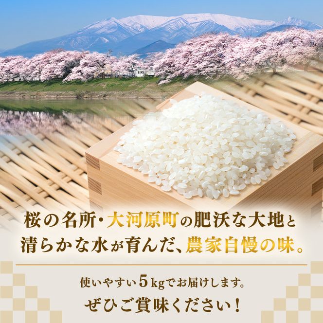 まなむすめ 5kg×1袋 令和8年産 新米 先行予約 宮城県産 米 精米 白米 米 コメ お米 おこめ ブランド米 ご飯 ごはん