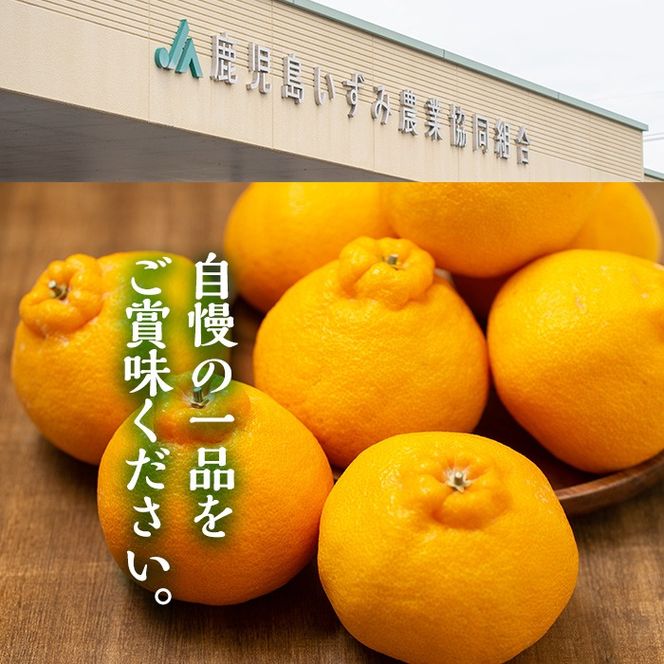 ＜先行予約受付中！2027年3月上旬以降順次発送予定＞ 鹿児島県産！露地 デコポン (約5kg・15～24玉) 果物 冬 春 柑橘 みかん 蜜柑 フルーツ 期間限定 数量限定 【鹿児島いずみ農業協同組合】akn018-10