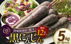 〈予約受付〉メディア出演多数！ 【期間限定】おどろきの甘さと抗酸化力！　黒人参『黒王』5Kg H022-014