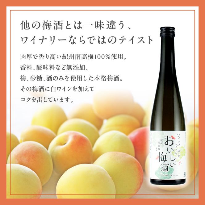 おいしい梅酒定期便【全4回】_EM60-T01