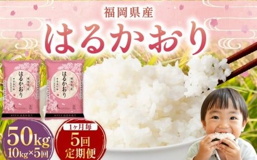 【1ヶ月毎5回定期便】 はるかおり 10kg 計50kg ／ 米 コメ お米 ライス ご飯 ごはん 飯 食品 精米 定期便 常温 福岡県 香春町