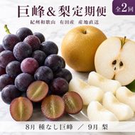 定期便 8・9月発送 紀州有田産旬のフルーツセット（種なし巨峰×約2kg・梨×約2kg 化粧箱入） AN066