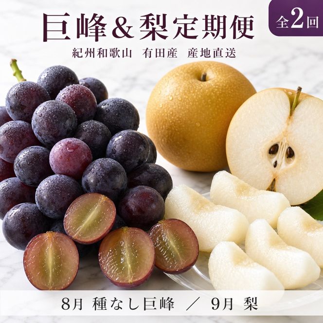 定期便 8・9月発送 紀州有田産旬のフルーツセット（種なし巨峰×約2kg・梨×約2kg 化粧箱入） AN066