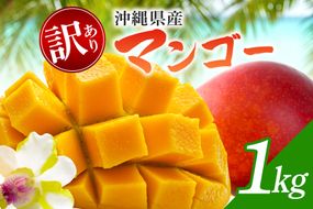 【 先行予約 2026年発送 】訳ありマンゴー 1kg