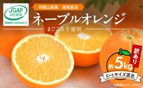 【2027年先行予約】和歌山県産 ネーブルオレンジ 【訳あり 家庭用】5kg サイズ混合 【まごころ手選別】_ZE6444