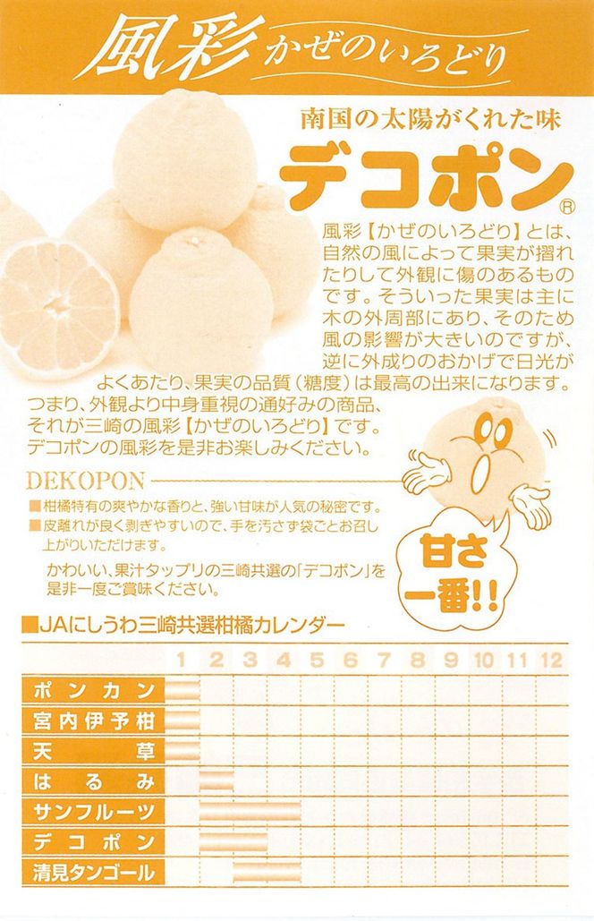 【先行予約】不知火（生果5kg）※離島への配送不可（2026年2月上旬より順次発送予定） IKTBD011