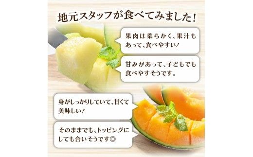 高級土佐アールスメロン2玉入り メロン めろん 赤白セット 赤玉×白玉 3kg以上 舐瓜 果物 くだもの フルーツ デザート スイーツ おやつ 高級 常温 配送【森岡　敬】 [BQBA004]