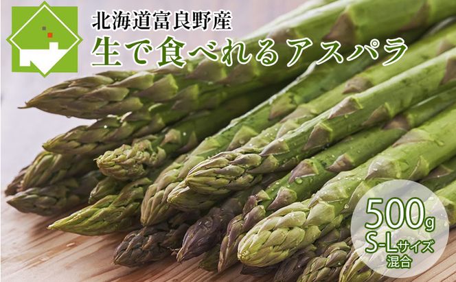 【数量限定！】ふらの産☆生で食べれるアスパラ【500g】30本前後 サイズ混合 野菜 アスパラガス