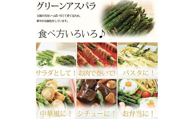 【2026年春発送】極太 グリーンアスパラ 2Lサイズ 1kg (スイートベジタブルファクトリー)