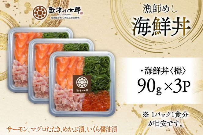 詰め合わせ 漁師めし 海鮮丼 〈梅〉 90g×3 計270g [橋本水産食品 宮城県 南三陸町 m304amh590015] 魚介 魚介類 魚 海鮮 海鮮丼 丼 サーモン 銀鮭 鮪 まぐろ マグロ 鮭 まぐろたたき 小分け 個包装 冷凍 三陸 めかぶ メカブ いくら いくら醤油漬け