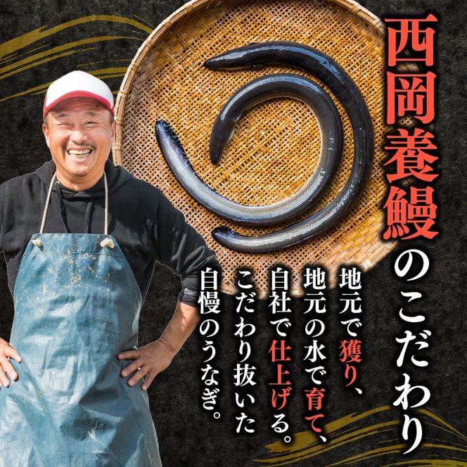 完全無投薬 きざみうなぎ 1000g ( 100g × 10袋 ) 国産 うなぎ蒲焼 国産うなぎ 鰻 きざみうなぎ蒲焼 うなぎ蒲焼き 刻みうなぎ 刻みウナギ ウナギ 鰻 冷凍 パック カット 真空パック 小分け 湯煎 簡単調理 個食 うなぎ 鰻 人気 養殖 ウナギ うなぎ おすすめ うなぎ かばやき うなぎ 高級 特別 贅沢 うなぎ 鰻 ひつまぶし うなぎ ウナギ 夏 鰻 高知県安芸市/西岡養鰻