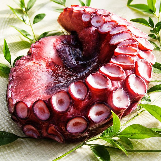 丸々太ったボイルタコ 1本 魚貝類 たこ タコ 茹で 刺身 たこ焼き 炒め物 酢の物 フライ 天ぷら 冷凍 日本海産 惣菜 日本酒 肴 珍味 日本酒 お取り寄せ 食品 食べ物 おつまみ 贈り物 プレゼント 家庭用 自宅用 送料無料 シーフード myz02