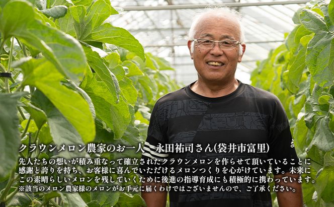 クラウンメロン【上（山等級）】中玉（1.3kg前後）6玉入り 人気 厳選 ギフト 贈り物 デザート グルメ 果物 袋井市 果物類 メロン青肉 フルーツ