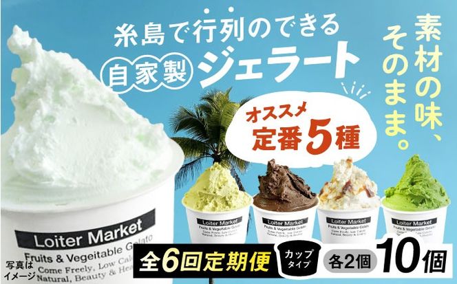 ジェラート アイス 【全6回定期便】ジェラート カップ 10個セット：おすすめ5種類×各2個( ピスタチオ 塩 抹茶 ビターチョコ キャラメル ) 糸島市 / LoiterMarket ロイターマーケット [AGD018]  アイスクリーム