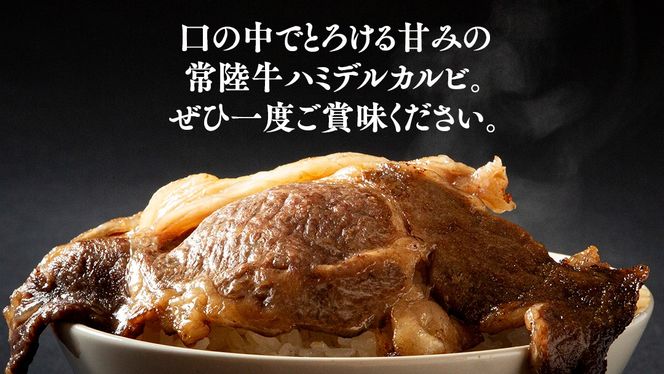 【 常陸牛 】A5 等級 ハミデルカルビ 1kg (6～10枚) ひたちぎゅう ブランド牛 カルビ 国産牛 黒毛和牛 和牛 国産黒毛和牛 お肉 A5ランク 高級 BBQ パーティ (茨城県共通返礼品) [BX128-NT]