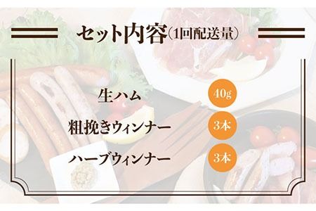 【全6回定期便】糸島の陽光ハムセット2 志摩スモークハウス[AOA012] 詰め合わせ ギフト ソーセージ お歳暮 お中元