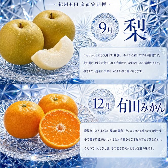 【2・8・9・12月 全4回】紀州産 巨峰とフルーツ定期便（巨峰・梨・みかん・不知火） 【魚鶴】AN041