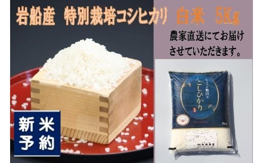 【新米受付・令和8年産米】新潟県村上市岩船産 特別栽培米 ちょっと贅沢なコシヒカリ 5kg 1039047N