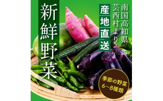 【CF-R7hbk】【先行予約】朝どれ！野菜の詰合せ／芸西村で採れた新鮮な野菜6～8種類をお届けします。