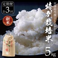 【定期便 発送月固定全3回】令和8年産　特別栽培米　宮津産丹後コシヒカリ「つやっ娘」5kg myz10 myz06 myz11 myz19