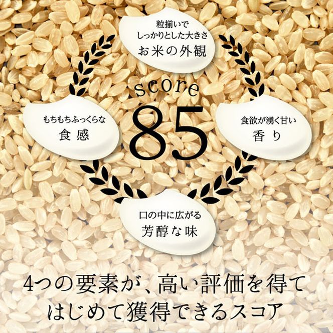 【9回定期】特別栽培米 コシヒカリ ヒロシノキモチ 無洗米 10kg 総計90kg 陽咲玲 米 お米 コメ 無洗米 ご飯 ごはん 富山県産 富山県 立山町 F6T-1001