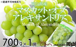 ぶどう 2026年 先行予約 マスカット ・オブ・アレキサンドリア 約700g×1房 ブドウ 葡萄 岡山県産 国産 フルーツ 果物 ギフト 岡山のぶどう 豊かな香り デザート 食後