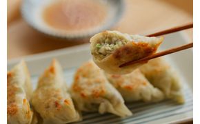 京丹後　ぎょぎょうざ　12個入（1袋あたり230g、約19g×12個入り）2袋　冷凍品／日本海山陰産の沖ギスを使用した魚餃子です・うみのうた　餃子 ぎょうざ 惣菜 おかず 京都 ふるさと納税 おつまみ　LP00005