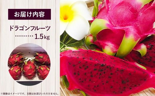 【2026年発送】南国フーズのドラゴンフルーツ 【レッドドラゴンフルーツ】 約1.5kg - 赤 果肉 レッド ピタヤ スーパーフルーツ 先行受付 先行予約 人気 抗酸化作用 ベタシアニン おすすめ 国産 沖縄県 八重瀬町