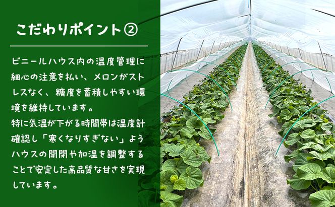 【2026年発送】 富良野メロン 赤肉 2玉入(計3.2kg以上) メロン ふらのメロン フルーツ 果物 くだもの 美味しい 甘い ギフト プレゼント 北海道 富良野市