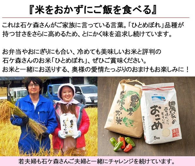 【3ヶ月定期便】減農薬栽培 ひとめぼれ 玄米 10kg（5kgx2袋） 【1111】