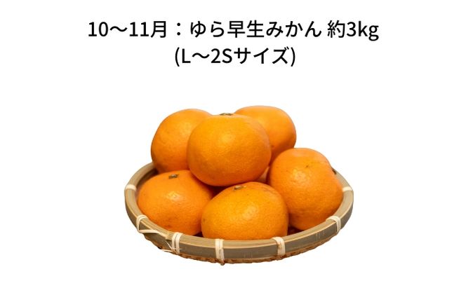 【 小豆島 】【6回お届け】土庄町 旬の果実 定期便 6回