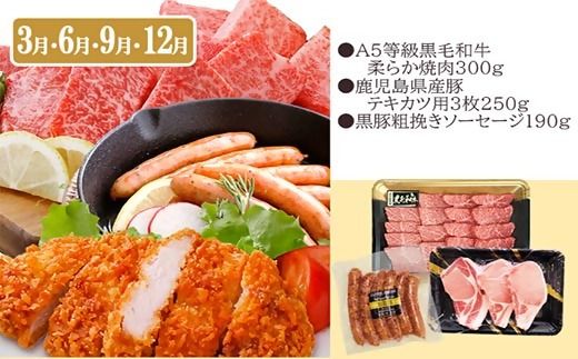 定期便(3回配送)黒毛和牛・黒豚&薩摩の甘エビ　DD5-0002 【1573827】