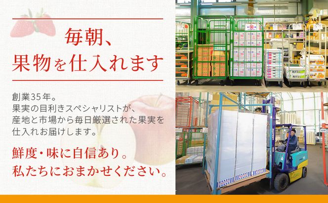 静岡県袋井市産 クラウンメロン 白等級 1.3kg 6個 静岡県 袋井市 メロン 白 フルーツ 果物 人気 1月～11月
